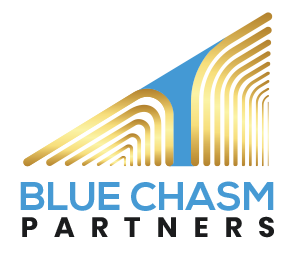Blue Chasm Partners - Health care